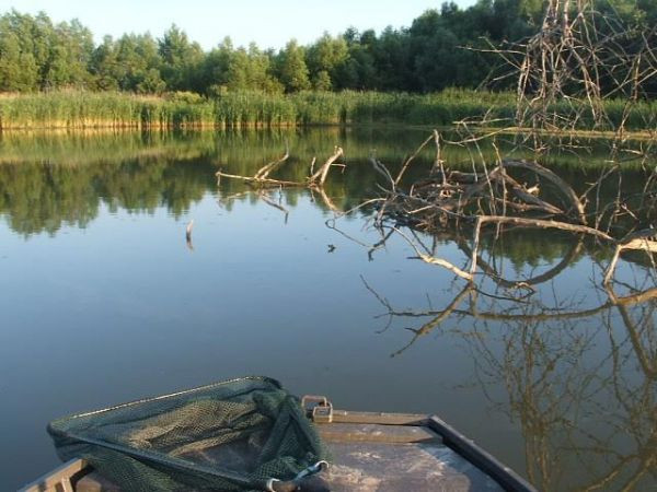 Milliárdos károkat okoz az aszály a halastavaknak