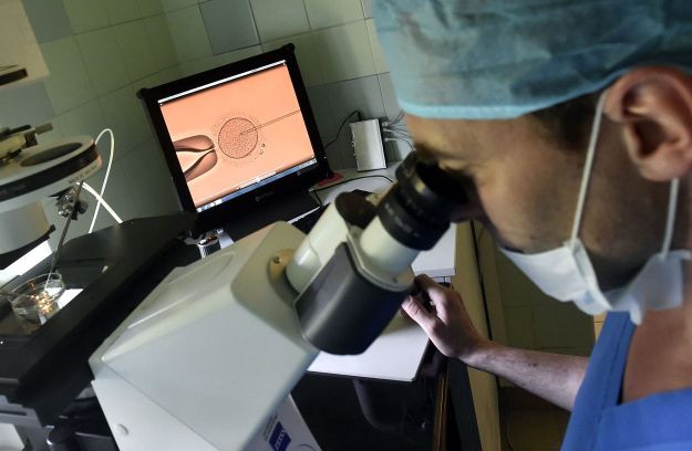 Az életvédők támadása