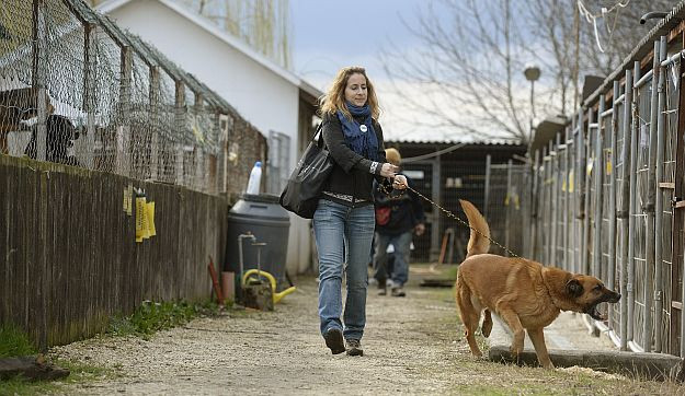 Semjén kutyagyilkosokat véd a Párbeszéd szerint