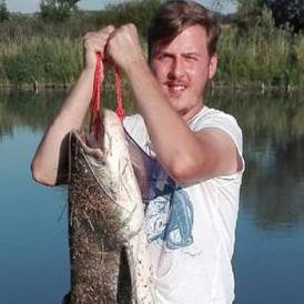 A Magyar Narancsnál még a gyakornok is nagyobb halat fog, mint máshol egy komplett szerkesztőség