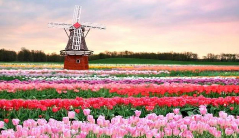 A Fidesz nem bír leállni holland ügyben