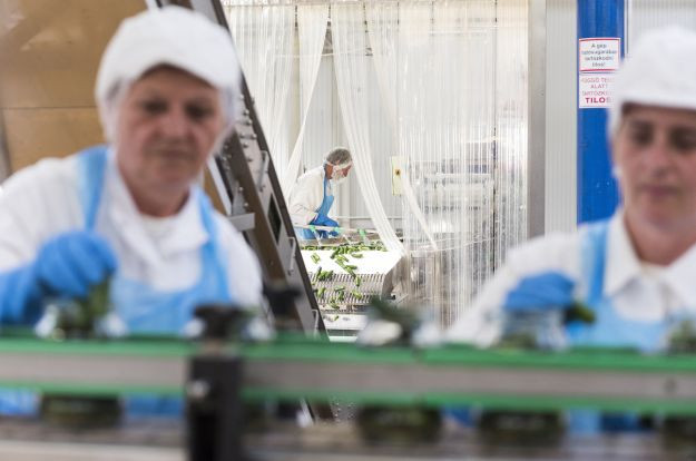 Több ponton is csorbítja a dolgozók jogait az új Munka törvénykönyve