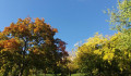 Az ősz kellős közepe – Időjárás a héten