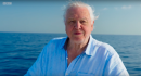 Földbe döngölték David Attenborough nemváltó halai az X-faktort