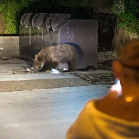 Kirámolta a hűtőt, majd gyereket traumatizált egy tusványosi mackó