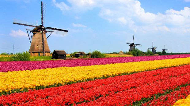 Belgium rovására nagyobb lett Hollandia