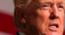 Trump túlszárnyalta a frappáns visszavágások nagymesterét: „Zseni vagyok”