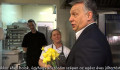 Választási nőnap van, Orbán Viktor nárciszokkal közelít
