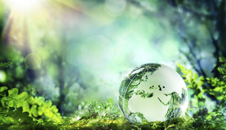 Bezöldült a Jobbik