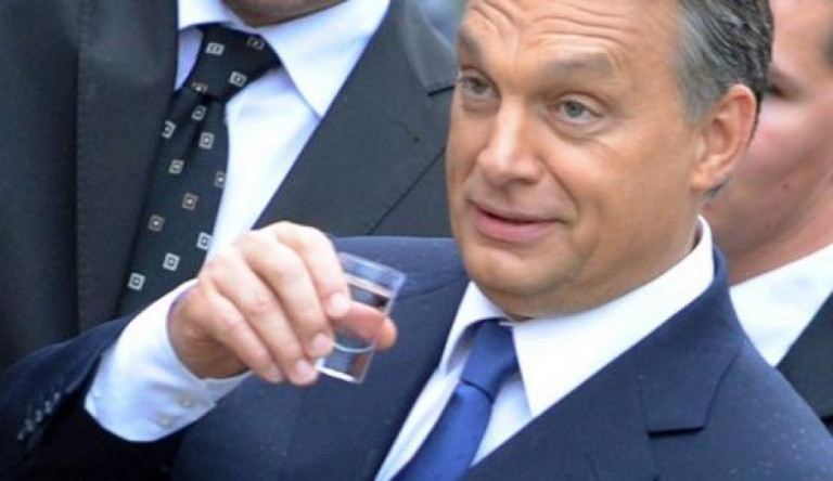 A hülye Európa nem hiszi el a nagy magyar igazságot, miszerint a pálinka egészséges