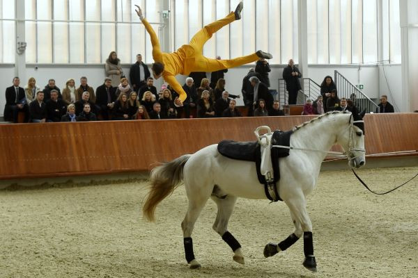 Nyomozás indult a fideszes államtitkárhoz köthető lovarda kapcsán