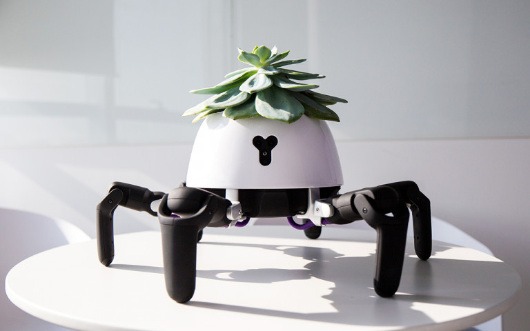 Pók? Robot? Növény? Igen, mind egyszerre