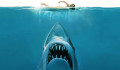 Nem is látjuk, mégis félünk tőle – 4 cápás film, amit érdemes megnézni