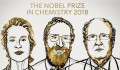 Evolúciós technikák és fehérjekutatás: ezzel vitték el az idei kémiai Nobel-díjat