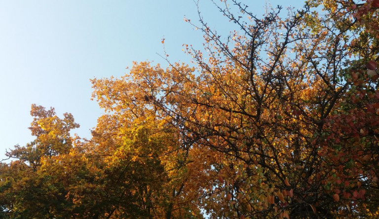 November eleje sem hoz lehűlést, szokatlan meleg a hosszú hétvégén