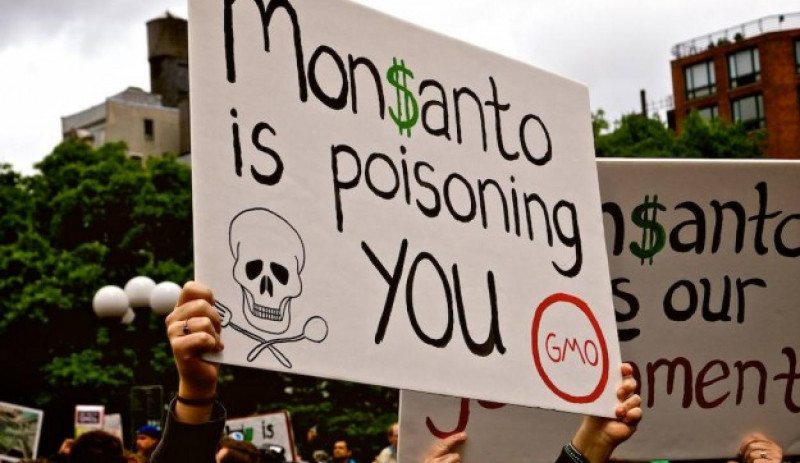 monsanto_top_story_lead.jpg