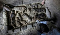 Ez kemény: négyezer éves macska- és szkarabeusz-múmiákat tártak fel Egyiptomban