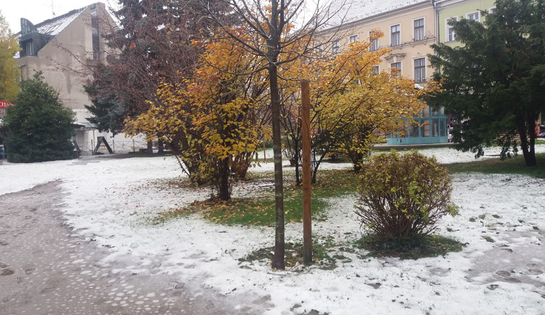 Eljött a hideg tél ideje