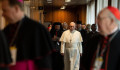Ferenc pápa szerint el kell törölni a Föld színéről a papok által gyermekek ellen elkövetett visszaéléseket