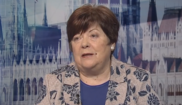 Pálffy Ilona szerint az EP-választás informatikai rendszeréhez még beruházásokra van szükség