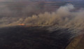 Ég a berek a Balatonon: mintegy 100 hektár nád lett már a tűz martaléka