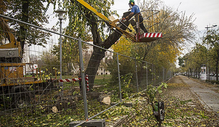 A faírtók lefotózására buzdítanak a madárvédők