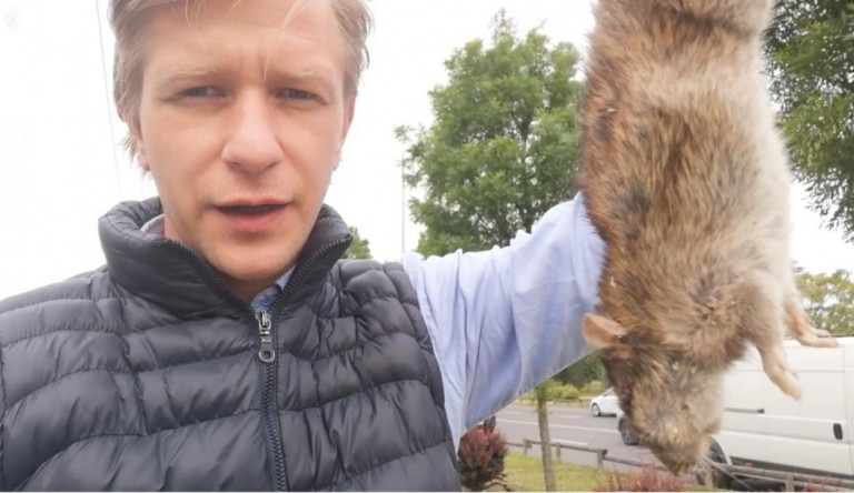 Még talán sosem látott akkora patkányt, mint ami mellett Kardos-Horváth János cangázott el reggel