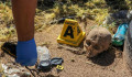 Több mint 300 rejtett sírba temetett holttestet találtak a mexikói hatóságok
