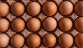 Nem árulnak ketreces tyúktartásból származó tojást a nemzetközi kiskereskedelmi láncok, felszaladhatnak az árak