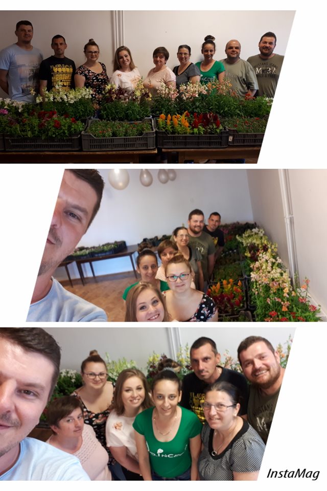 Hajdu-Szűcs kampánycsapata a virágosztáson