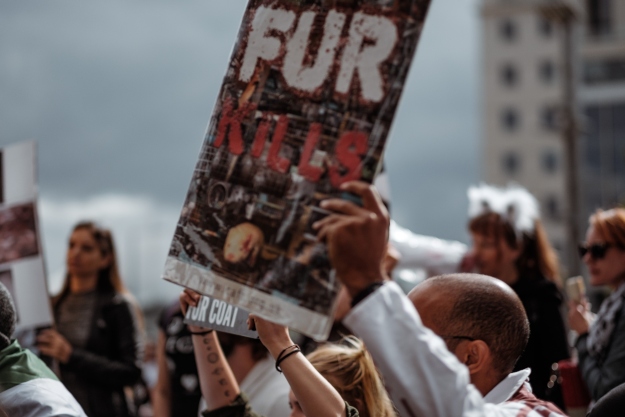„Fur kills”, avagy a „a szörme öl”  - Nyugaton sokat áldoznak az állatok jogaiért
