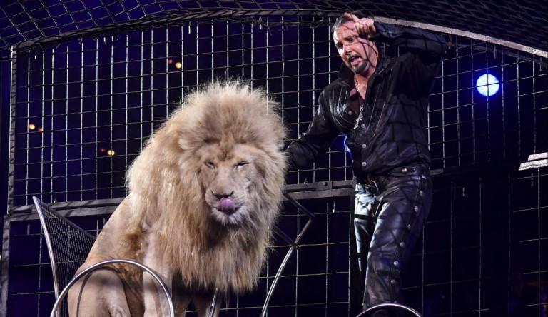 Be kell-e tiltani a sokak által állatkínzásnak tartott cirkuszi idomítást?