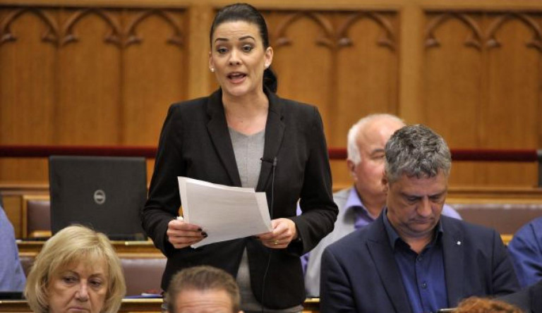 Felfüggesztették Demeter Márta mentelmi jogát