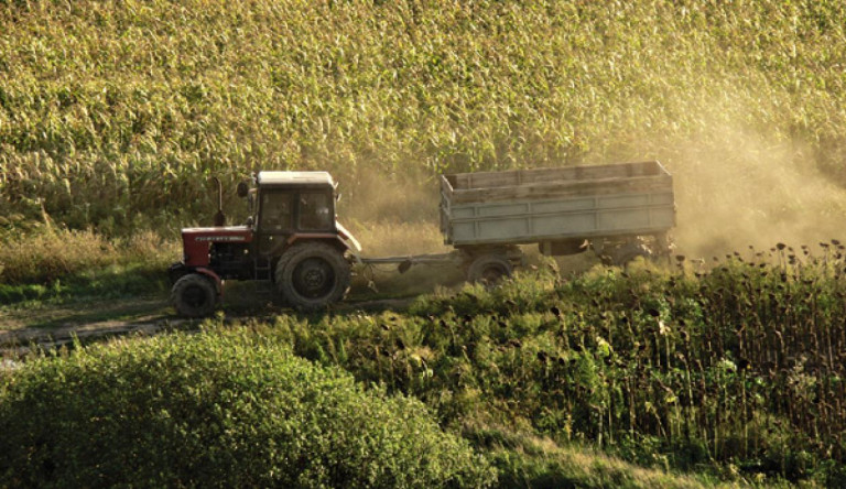 Ángyán József újabb jelentése: Bács-Kiskunban is a NER-lovagoké lett a föld