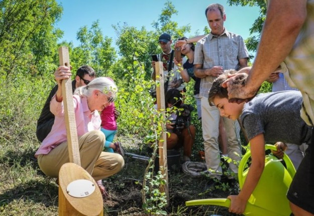 Jane Goodall Magyarországon járt és fákat ültetett