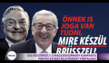 Ha Orbánnak kampányolsz, palotád lehet a Rózsadombon