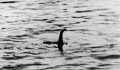 Itt az újabb elmélet a Loch Ness-i szörnnyel kapcsolatban