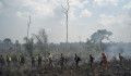 Amazónia védelméről állapodott meg Bolsanaro a térség országaival