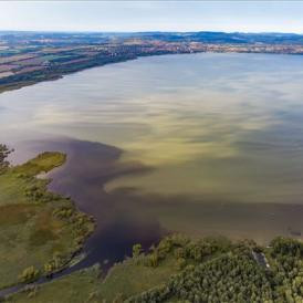 Brutálisan túlalgásodott a Balaton, már bőven elhagytuk a sok évtizedes „csúcsot”