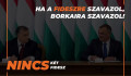 A Borkai-botránnyal kampányol az ellenzék a hajrában