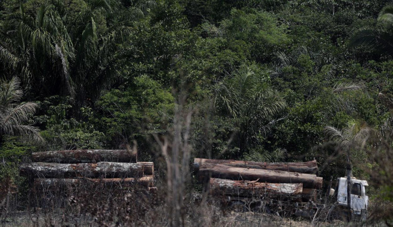 Illegális fakitermelők fejbe lőttek egy erdővédő őslakost Brazíliában