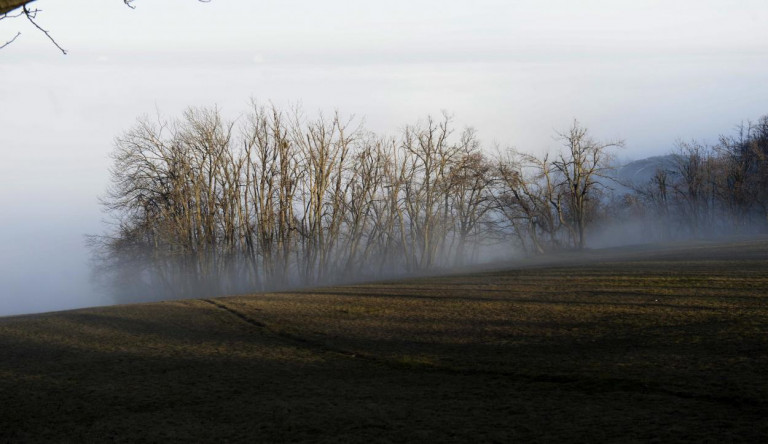 A Párbeszéd felszólította Pokorni Zoltánt, azonnal függessze fel a fakivágásokat a Normafán