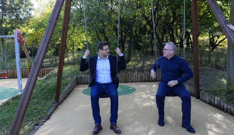 Tüntetést szervez a Párbeszéd a Normafa tervezett fakivágásai ellen