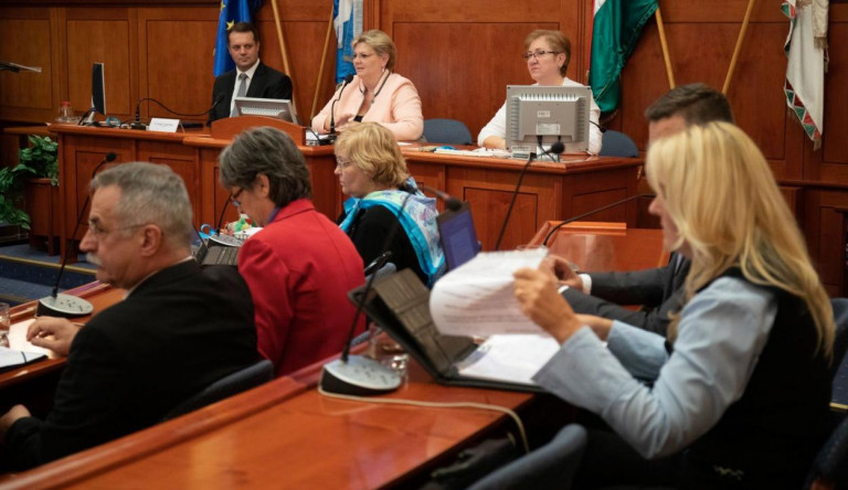 A DK-s polgármester fia bizottsági helyet kapott, ám szerinte szó sincs összeférhetetlenségről