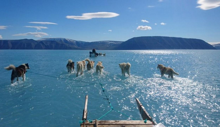 A kormánynak esze ágában sincs klímavédelemről konzultálni, Brüsszel miatt van az egész