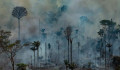 Tűzoltókkal vitetnék el a balhét Brazíliában