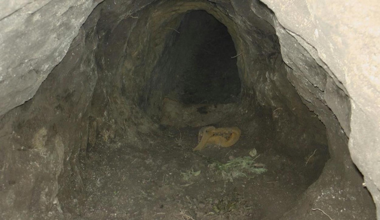 Felszámolta a magyar-szerb határ alatti alagutakat a rendőrség