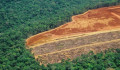 Brazil környezetvédelmi miniszter: az ország képtelen egyedül véget vetni az amazóniai erdőirtásoknak