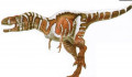 Egy új tanulmány rámutat: nem létezett a T-rex riválisa