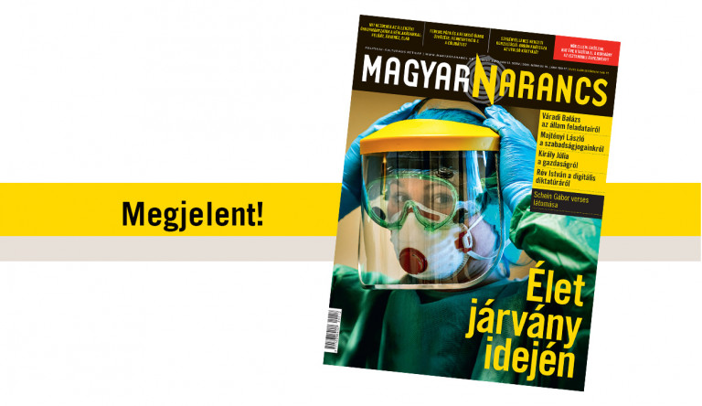 Nyugtassa magát Naranccsal a kényszerű otthonlét idején!